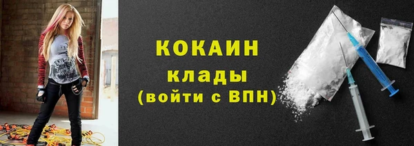 винт Инта