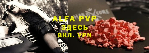 винт Инта