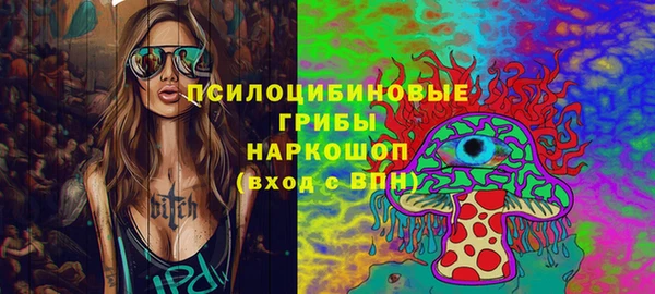 винт Инта