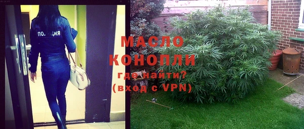 винт Инта