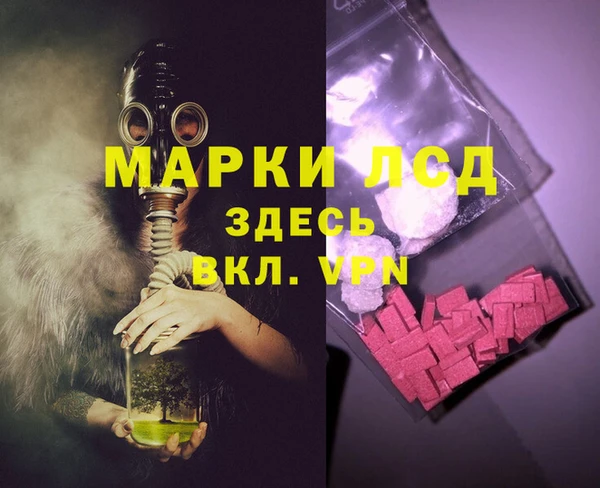 винт Инта