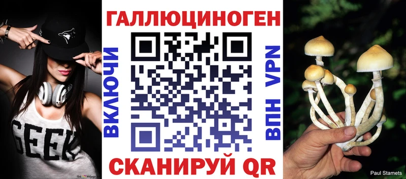 Галлюциногенные грибы мухоморы  Купить закладки  Елизово 